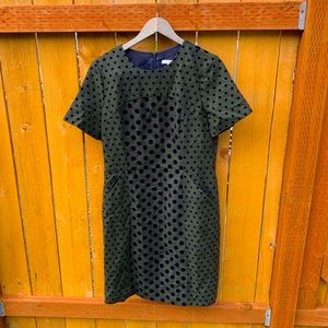 Boden Sage Green and Navy Polk a Dot Zipper Dress